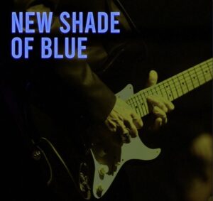 New Shade Of Blue - Cliff Stevens